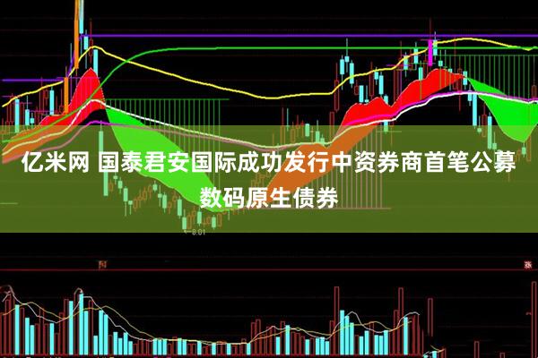亿米网 国泰君安国际成功发行中资券商首笔公募数码原生债券